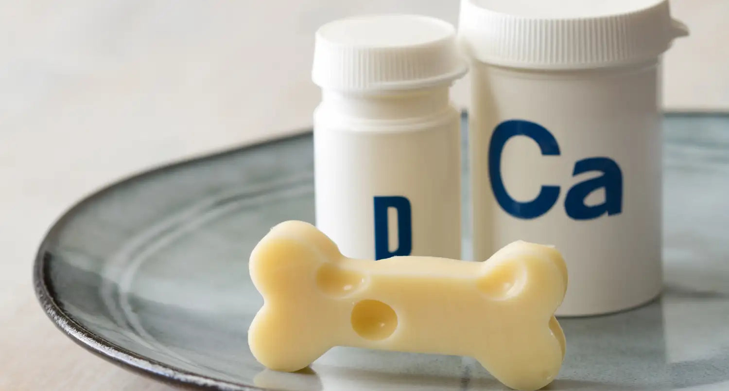 CALCIO E VITAMINA D: SCOPRI I BENEFICI DI QUESTA COMBINAZIONE VINCENTE