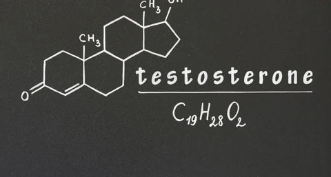 formula chimica testosterone
