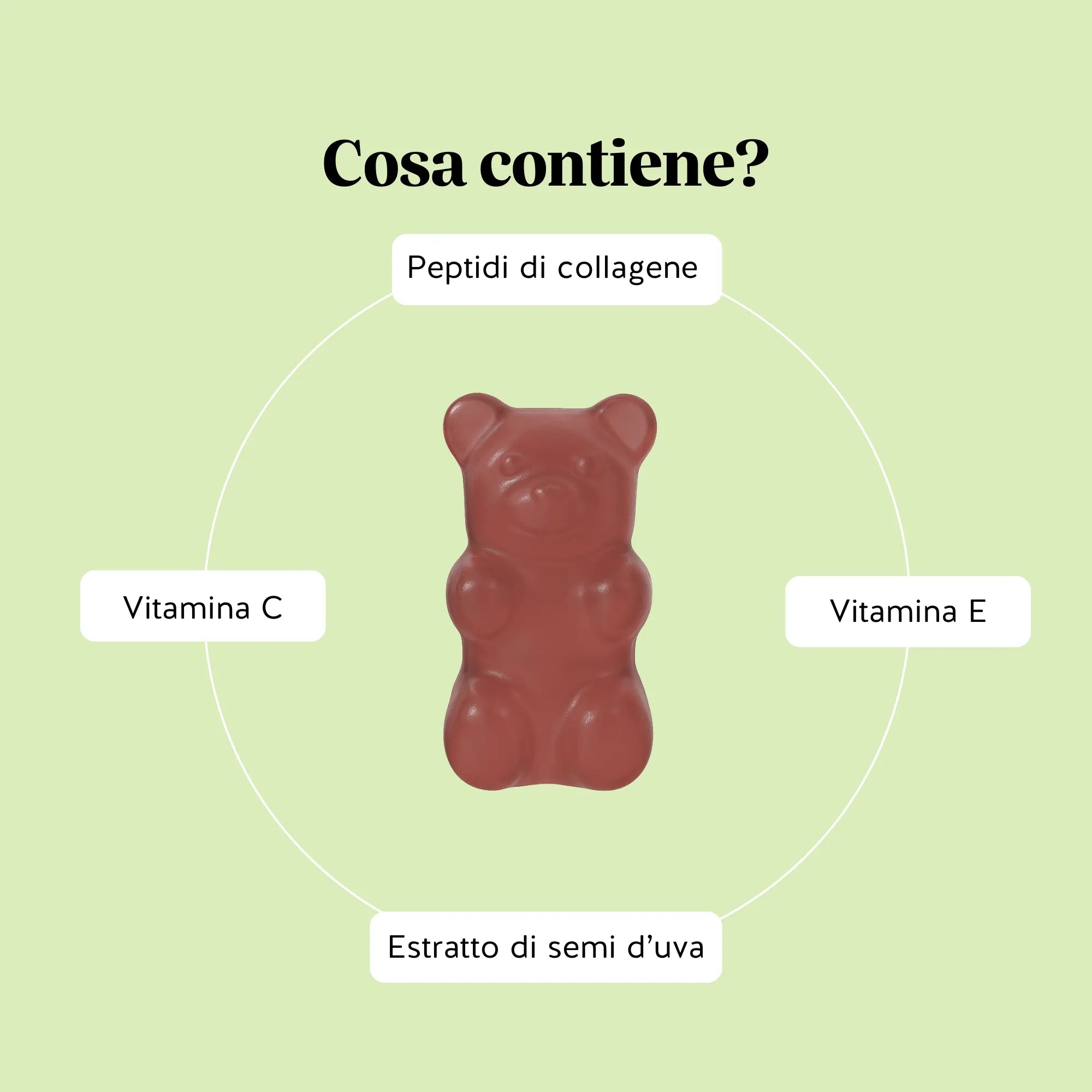 Ingredienti di Lift me up* SILHOUETTE Vitamin di Bears with Benefits con peptidi di collagene Verisol®, estratto di semi d’uva (OPC), vitamina C e vitamina E, in formato orsetti gommosi senza zucchero.