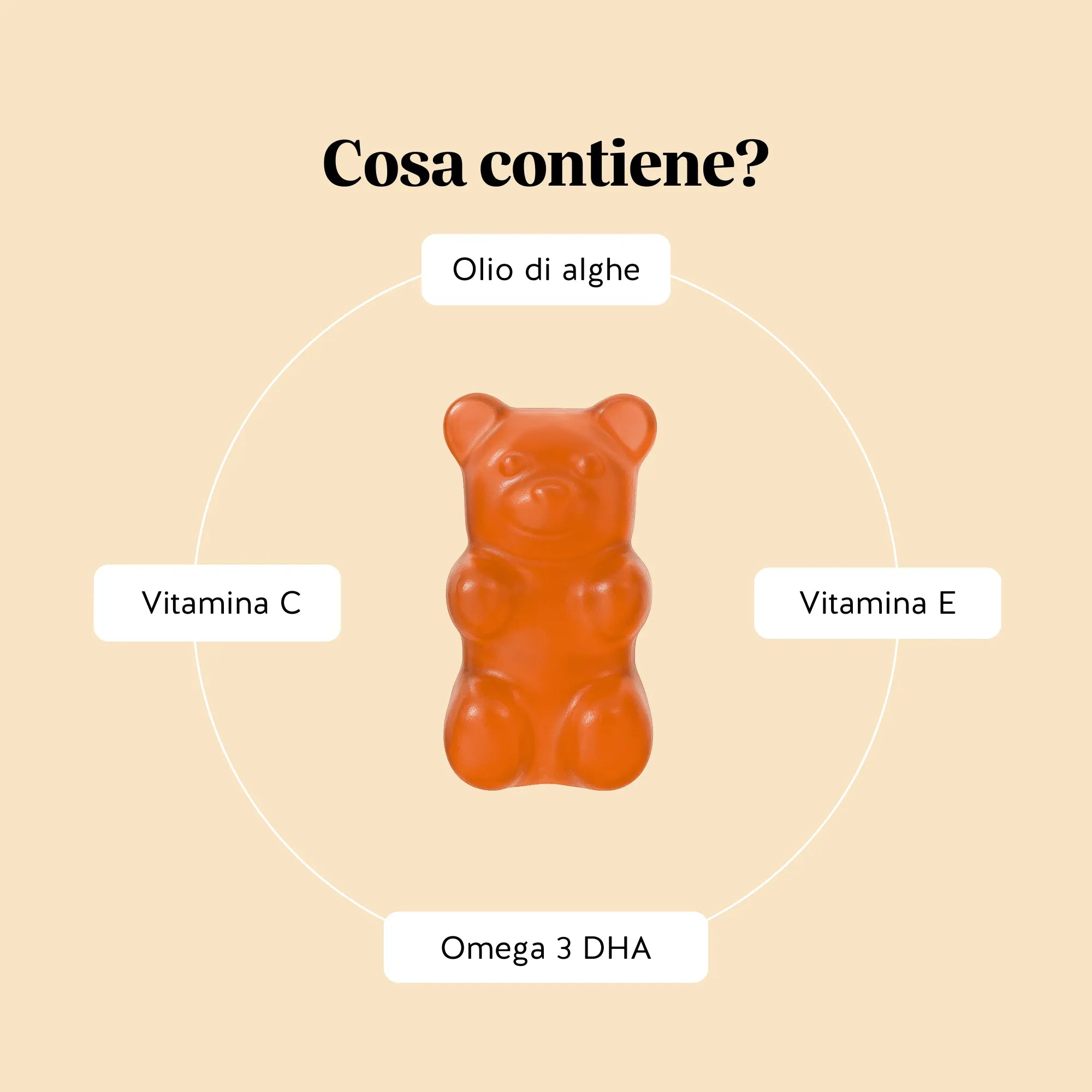 Ingredienti di Catch Of The Day Vitality* Support di Bears with Benefits con vitamina C e DHA (acido docosaesaenoico) da olio di microalga Schizochytrium sp., in orsetti vegani senza zucchero.