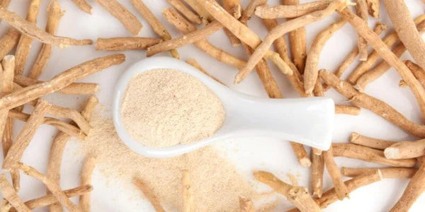 Ashwagandha in polvere
