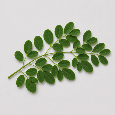 Moringa