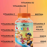 Questa immagine mostra gli ingredienti degli orsetti Paw Patrol con complesso multivitaminico per bambini. Vitamina K2, vitamina D3, vitamina C, vitamina B12, vitamina B6, vitamina B2, vitamina B1, biotina, vitamina E, acido folico, zinco e iodio.