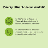 Bears with Benefits My Metabolic Matcha Vitamin – La riboflavina, la niacina e la vitamina B12 contribuiscono al normale metabolismo energetico, lo zinco contribuisce al normale metabolismo acido-base e dei carboidrati, orsetti gommosi senza zuccheri e vegani