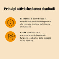 Benefici e claim di Catch Of The Day Vitality* Support: la vitamina C contribuisce al normale metabolismo energetico e alla normale funzione del sistema immunitario; il DHA contribuisce al mantenimento della normale funzione cerebrale e della capacità visiva normale (effetto con 250 mg di DHA al giorno).

