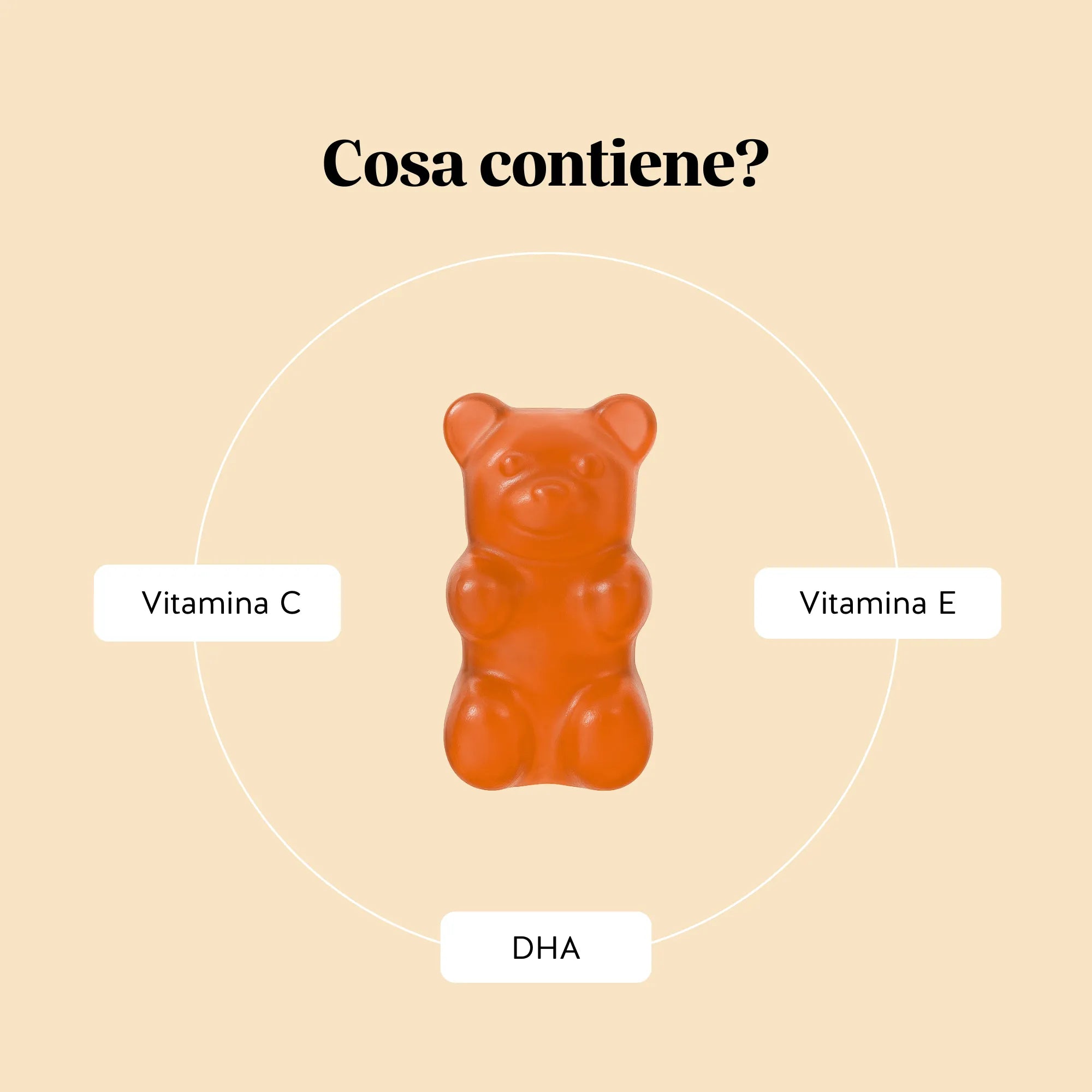 Ingredienti di Catch Of The Day Vitality* Support di Bears with Benefits con vitamina C e DHA (acido docosaesaenoico) da olio di microalga Schizochytrium sp., in orsetti vegani senza zucchero.


