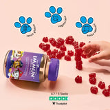 Questa immagine mostra i benefici del prodotto Immune Power Paws con sambuco per bambini di Bears with Benefits. Senza glutine, vegetariano e senza lattosio.