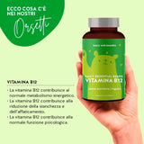 Essenziali per i vegani: Vitamina B12 + Ferro + Calcio