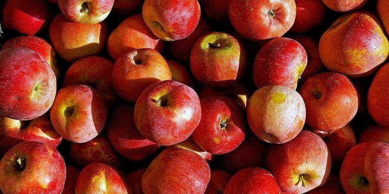 Questo è l'effetto dell'aceto di mele sulla dieta o la perdita di peso