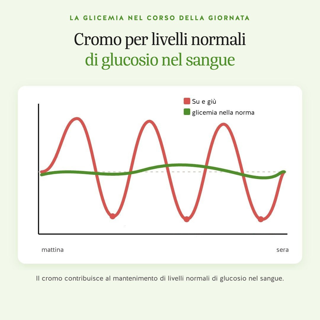 Glicemia nel corso della giornata