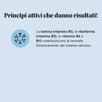 Bears with Benefits Keepin it Calm Vitamin – Caramelle gommose con vitamine del gruppo B, ashwagandha e L-teanina per supportare calma, concentrazione ed equilibrio mentale ogni giorno
